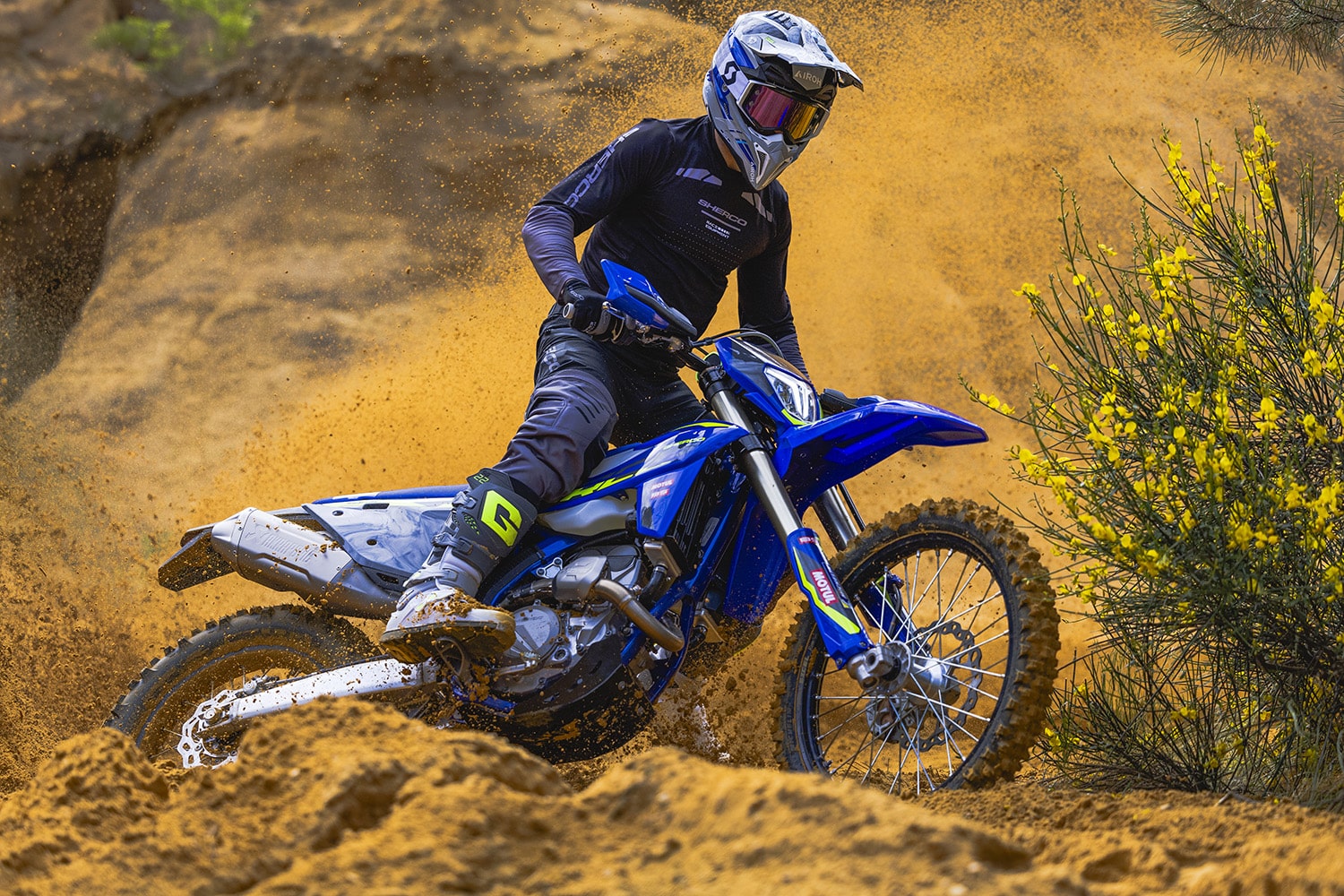 Sherco SE 250 Factory 2026